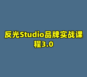 反光Studio品牌实战课程3.0-cc资源站