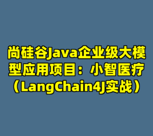尚硅谷Java企业级大模型应用项目：小智医疗（LangChain4J实战）-cc资源站