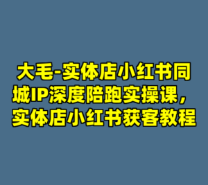 大毛-实体店小红书同城IP深度陪跑实操课，实体店小红书获客教程-cc资源站