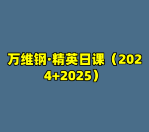 万维钢·精英日课（2024+2025）-cc资源站