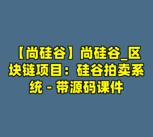 【尚硅谷】尚硅谷_区块链项目：硅谷拍卖系统 - 带源码课件-cc资源站