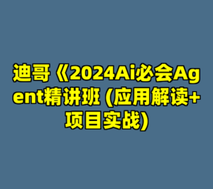 迪哥《2024Ai必会Agent精讲班 (应用解读+项目实战)-cc资源站