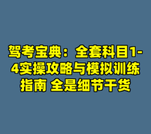 驾考宝典：全套科目1-4实操攻略与模拟训练指南 全是细节干货-cc资源站