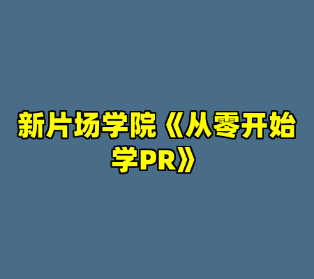 新片场学院《从零开始学PR》
