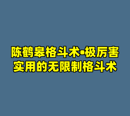 陈鹤皋格斗术•极厉害实用的无限制格斗术