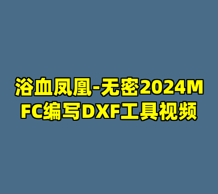 浴血凤凰-无密2024MFC编写DXF工具视频