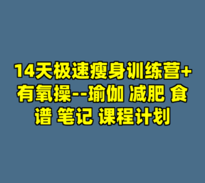 14天极速瘦身训练营+有氧操--瑜伽 减肥 食谱 笔记 课程计划-cc资源站