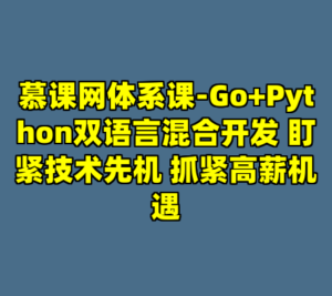 慕课网体系课-Go+Python双语言混合开发 盯紧技术先机 抓紧高薪机遇-cc资源站