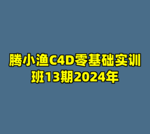 腾小渔C4D零基础实训班13期2024年-cc资源站