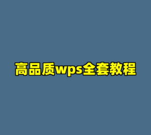 高品质wps全套教程-cc资源站