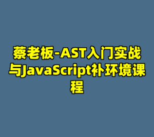 蔡老板-AST入门实战与JavaScript补环境课程-cc资源站