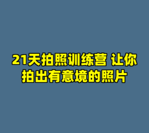 21天拍照训练营 让你拍出有意境的照片-cc资源站