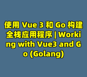 使用 Vue 3 和 Go 构建全栈应用程序 | Working with Vue3 and Go (Golang)-cc资源站