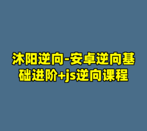 沐阳逆向-安卓逆向基础进阶+js逆向课程-cc资源站