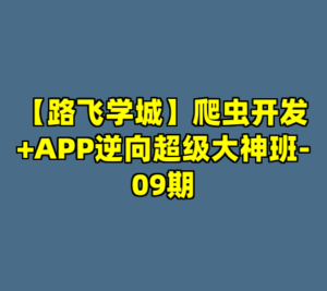【路飞学城】爬虫开发+APP逆向超级大神班-09期-cc资源站