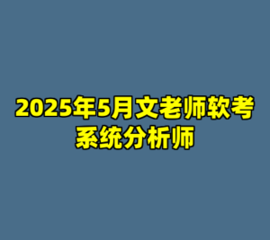 2025年5月文老师软考系统分析师-cc资源站
