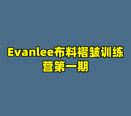 Evanlee布料褶皱训练营第一期