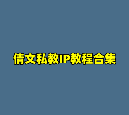 倩文私教IP教程合集