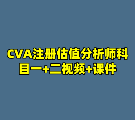 CVA注册估值分析师科目一+二视频+课件