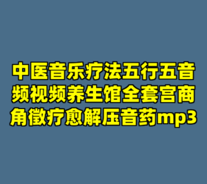 中医音乐疗法五行五音频视频养生馆全套宫商角徵疗愈解压音药mp3-cc资源站