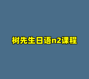 树先生日语n2课程-cc资源站