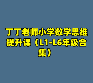 丁丁老师小学数学思维提升课（L1-L6年级合集）-cc资源站