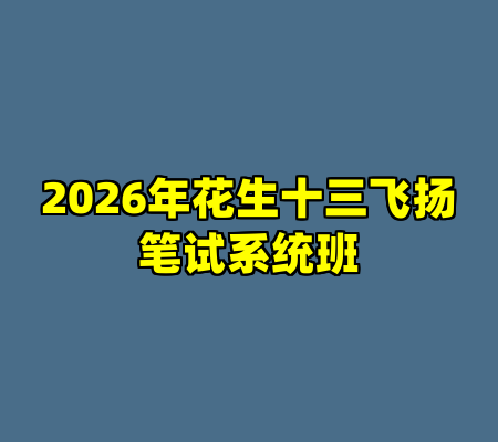2026年花生十三飞扬笔试系统班