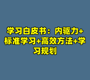学习白皮书：内驱力+标准学习+高效方法+学习规划-cc资源站