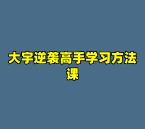 大宇逆袭高手学习方法课-cc资源站