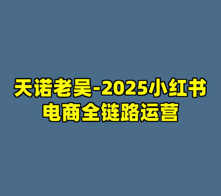 天诺老吴-2025小红书电商全链路运营