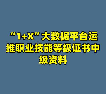 “1+X”大数据平台运维职业技能等级证书中级资料