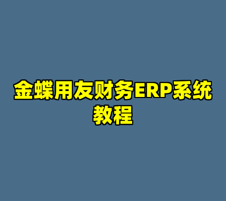 金蝶用友财务ERP系统教程
