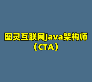 图灵互联网Java架构师（CTA）-cc资源站