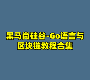 黑马尚硅谷-Go语言与区块链教程合集-cc资源站
