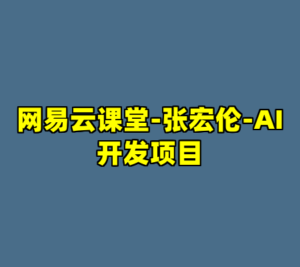 网易云课堂-张宏伦-AI开发项目-cc资源站