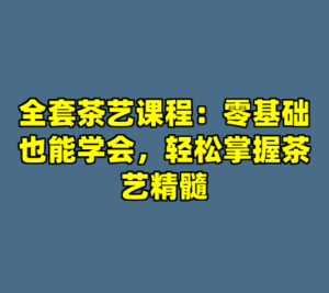 全套茶艺课程：零基础也能学会，轻松掌握茶艺精髓-cc资源站