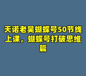天诺老吴蝴蝶号50节线上课，蝴蝶号打破思维篇-cc资源站