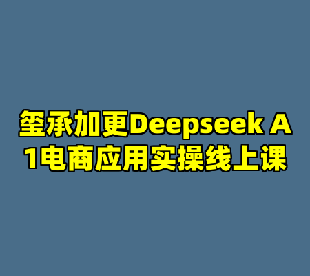 玺承加更Deepseek A1电商应用实操线上课