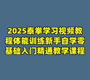 2025泰拳学习视频教程体能训练新手自学零基础入门精通教学课程-cc资源站