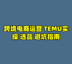 跨境电商运营 TEMU实操 选品 避坑指南-cc资源站