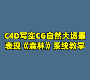 C4D写实CG自然大场景表现《森林》系统教学-cc资源站