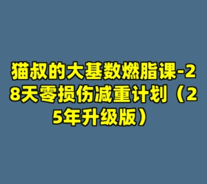 猫叔的大基数燃脂课-28天零损伤减重计划（25年升级版）-cc资源站