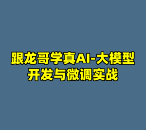 跟龙哥学真AI-大模型开发与微调实战-cc资源站