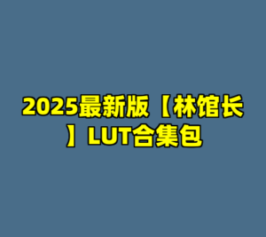 2025最新版【林馆长】LUT合集包-cc资源站