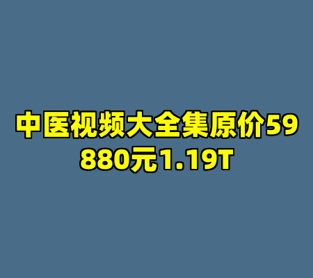 中医视频大全集原价59880元1.19T