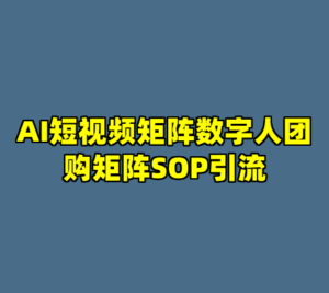 AI短视频矩阵数字人团购矩阵SOP引流-cc资源站