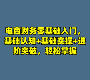 电商财务零基础入门，基础认知+基础实操+进阶突破，轻松掌握-cc资源站