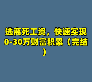 逃离死工资，快速实现0-30万财富积累（完结）-cc资源站