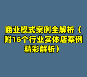 商业模式案例全解析（附16个行业实体店案例精彩解析）-cc资源站