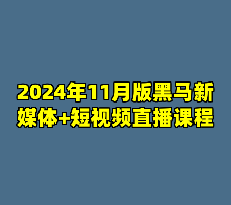 2024年11月版黑马新媒体+短视频直播课程